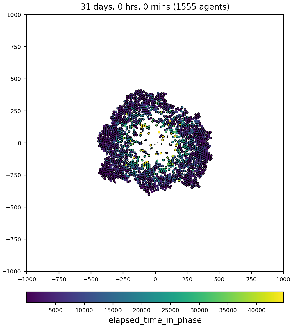 _images/cell_scalars_heterog_elapsedtime_in_phase.png