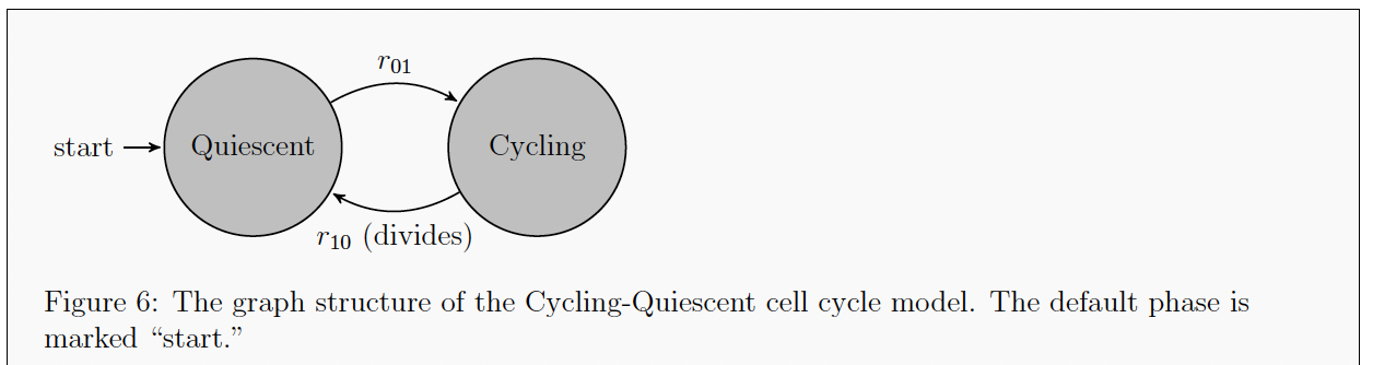 _images/cycle_quiescent.png